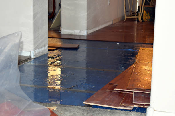 Professional Flood Cleanup technician working in Owensville, MO